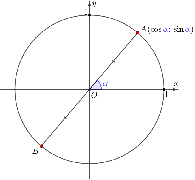 Sin 1 на окружности. Sin cos на окружности. Единичная окружность. Координаты единичной окружности. Единичная окружность знаки.