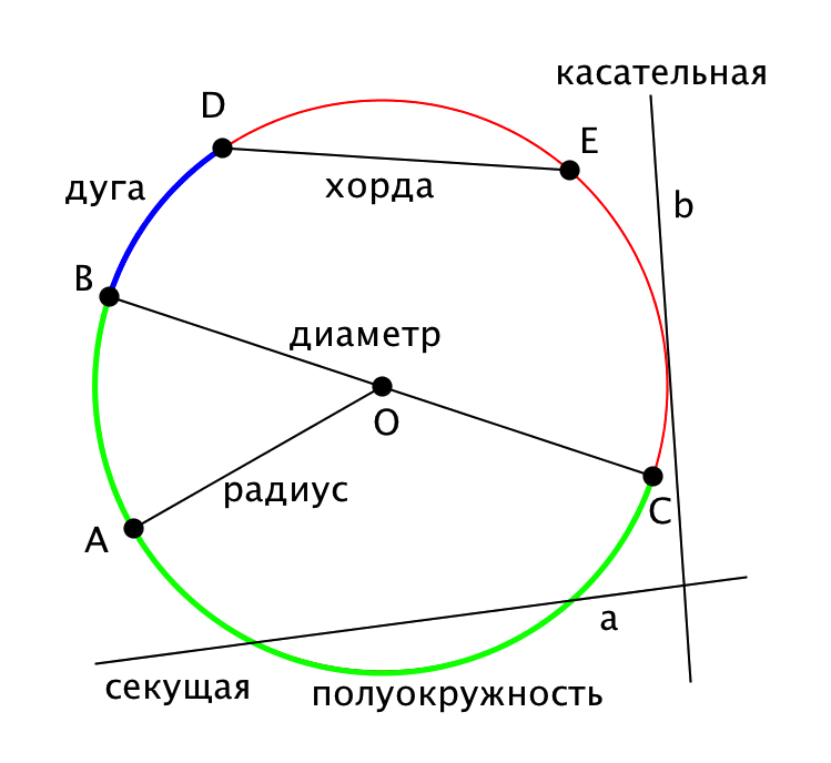 Диаметр 60 какой радиус. Окружность радиус хорда диаметр круг. Окружность радиус диаметр хорда дуга. Что такое окружность круг хорда диаметр. Окружность и круг. Центр, хорда, диаметр, радиус..