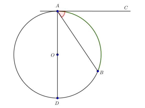 Почему центральный угол равен дуге на которую он опирается: доказательство